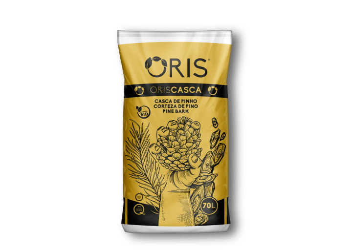 Casca de Pinho - ORIS