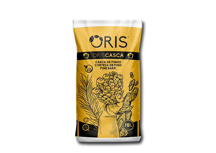 ORIS Casca